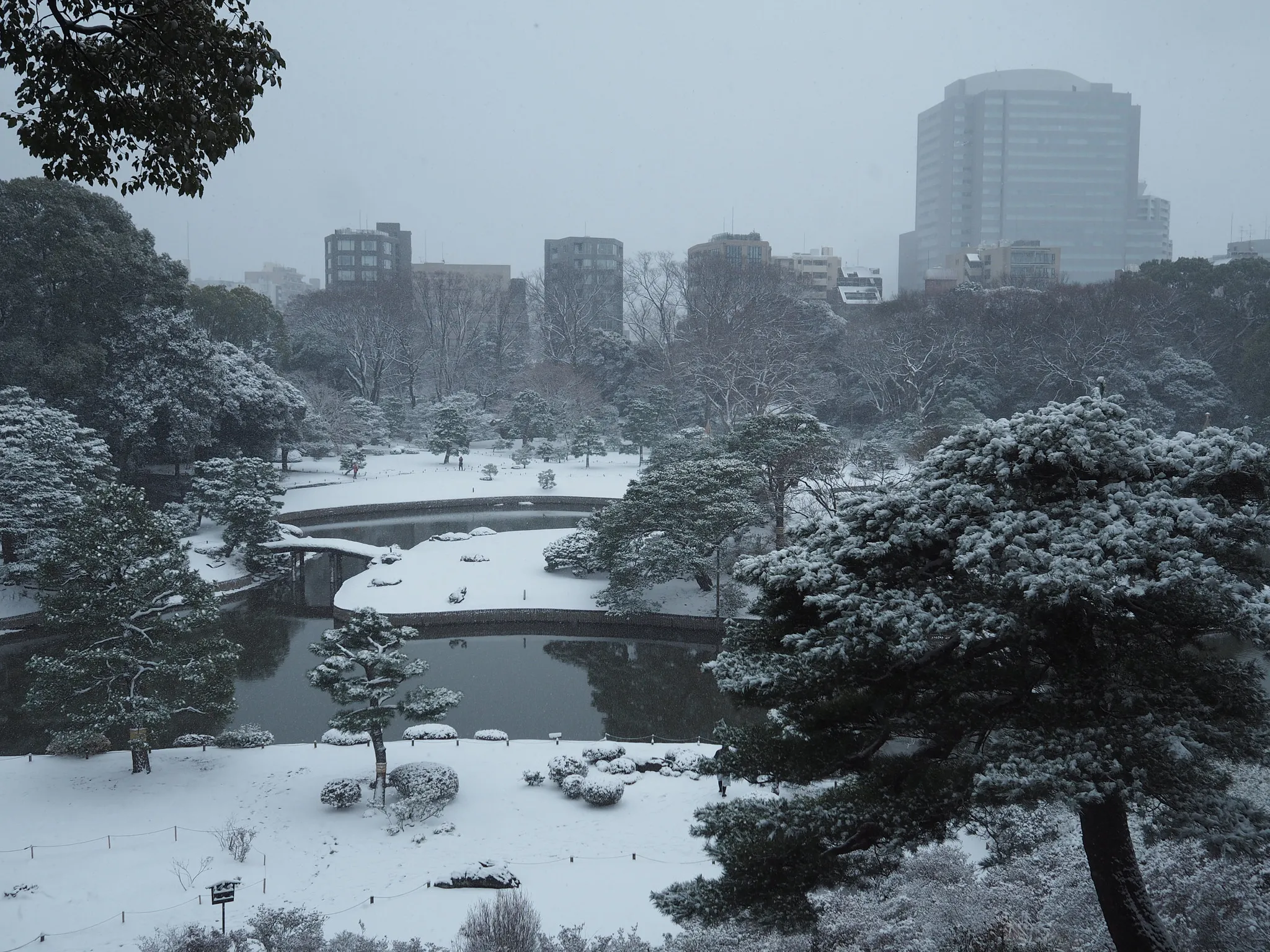 A Snowy Day in Tokyo - Image 2