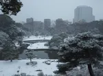 A Snowy Day in Tokyo - Thumbnail 2